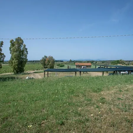 Fetovaia *